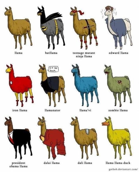 SimoneDobber's tweet photo. @teacupprophet llama llama ding dong http://t.co/uLKhyfca