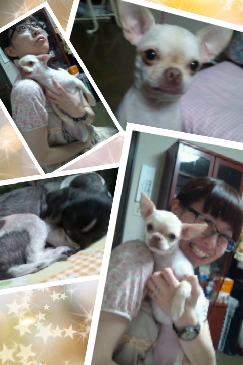 fujimaaco's tweet image. わんわんわん♪今日は思ってた以上に忙しかった。おかげで、行きたかった集まりに行けなかったーーー｡･ﾟ･(ﾉД`)･ﾟ･｡くそー!!行きたかったのにぃ(&amp;gt;_&amp;lt;)!!!!! #bridgee #bridgeever