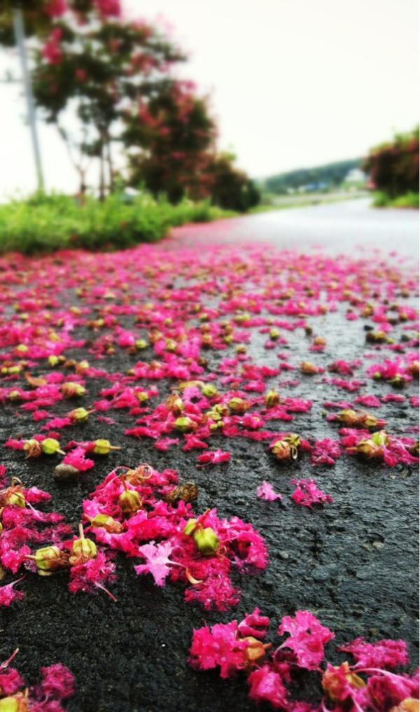 te0mang99's tweet photo. 내가 아무리 붙잡아도
백일뒤엔 떠날 당신... http://t.co/6wWg7zqA