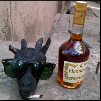tahreey's tweet photo. Lol, Isiewu chilling. http://t.co/tm5w9dId