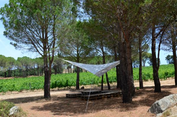 Esperamos vuestra visita estos días para conocer la zona de picnic y relax habilitada en nuestra finca. Os encantará.