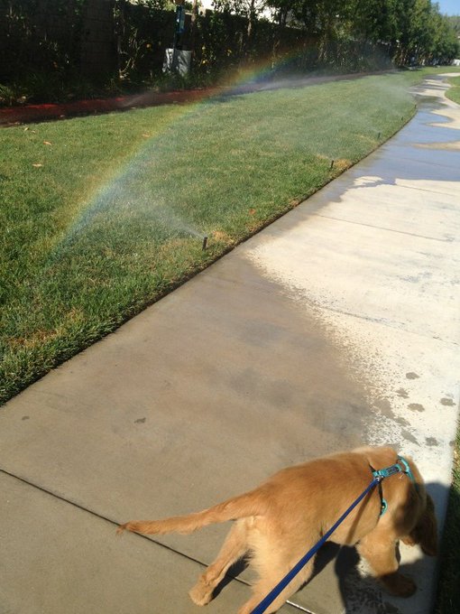 Rainbow ! http://t.co/tJEUwkTW<a href="/tag/laconfidential"class="tags"><span>#laconfidential</span></a>