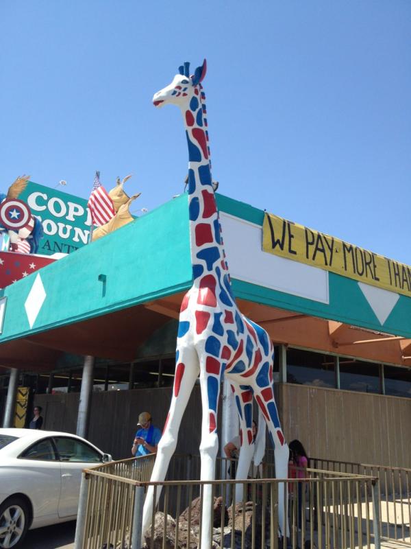 mariacraig7's tweet photo. @KhloeKardashian I saw this at a treasure store in my hometown and thought of you ;) #giraffe #tucson http://t.co/JjjW3I2r