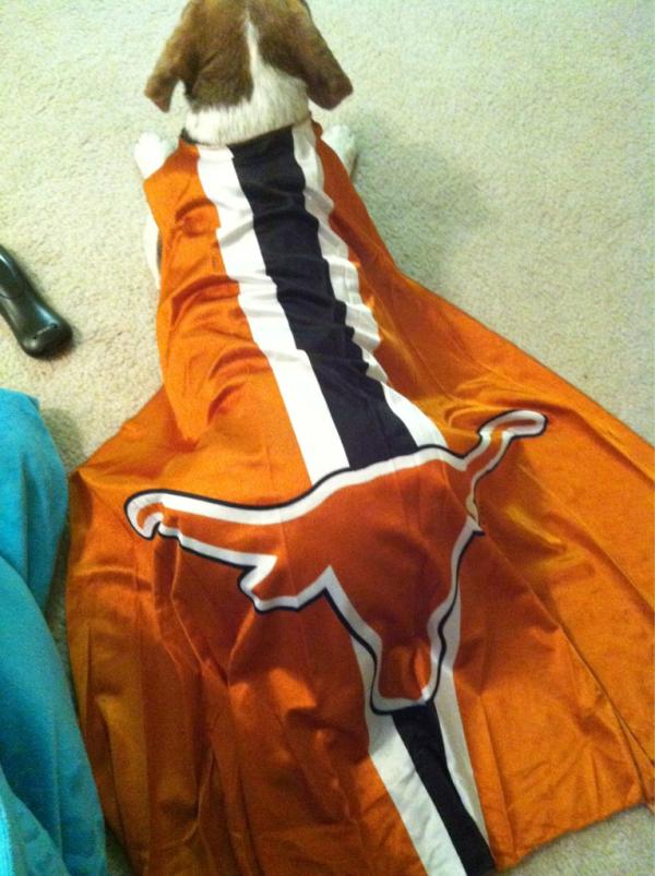 brosa11's tweet image. Ssssss👏 hahaha #splithouse