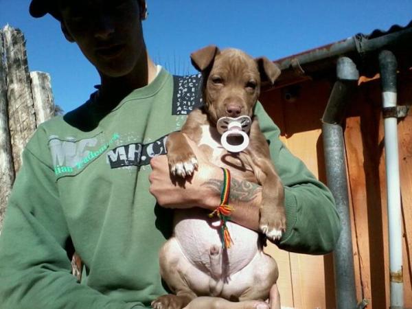 juniorcose's tweet photo. http://t.co/OjZVCZGn