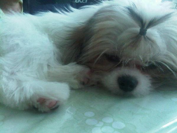 Keito's Diary tweet media