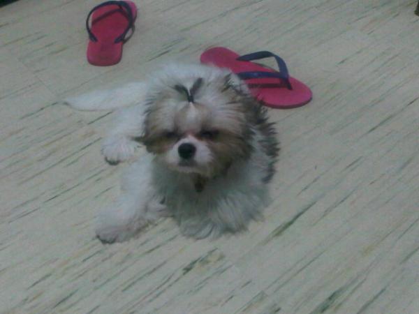 Keito's Diary tweet media