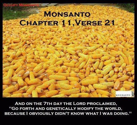 DevMazz's tweet image. love this one... 
#monsanto #natural