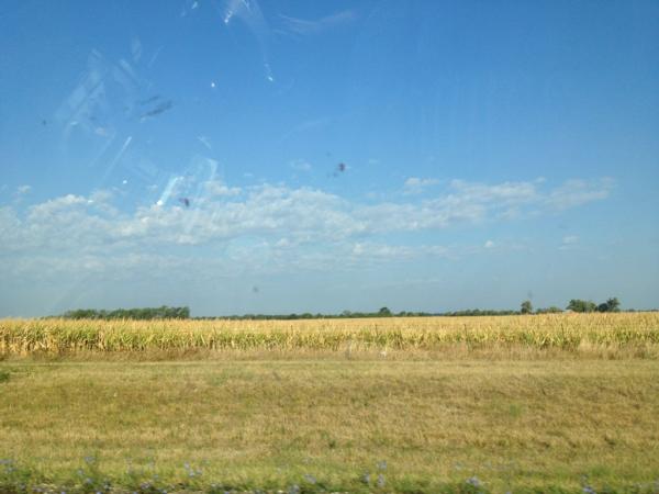 caradowdle's tweet image. Driving through southern Illinois could be the most boring thing to drive through #cornfieldsoncornfields