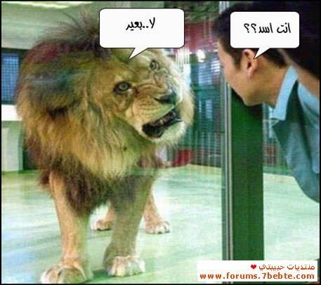 AnoodahNo's tweet photo. http://t.co/nayD2T8A