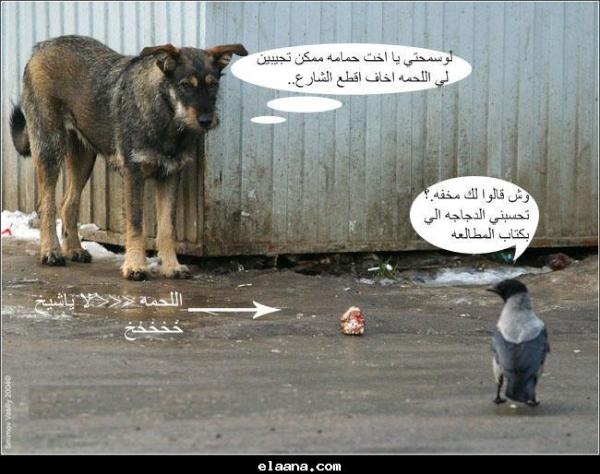 AnoodahNo's tweet photo. http://t.co/qbf9lLlw