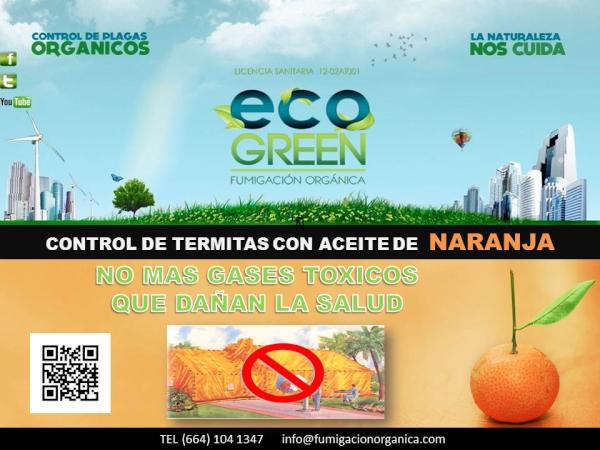 EcogreenO tweet picture