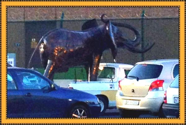 esayacoob's tweet photo. Cape Town Elephant in peak hour. Tourist believe african wild roam our streets@CapeTownTourism http://t.co/nR8vuBOZ