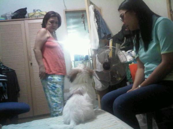 Keito's Diary tweet media