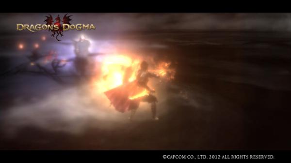 tinymecha's tweet image. My main pawn from Dragon's Dogma.=&amp;gt;Felix/Lv.53/Male/Sorcerer game.capcom.co.jp/DD/en/pawn_det…