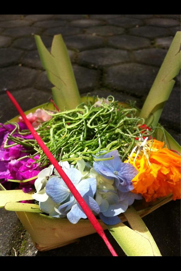 This is Balinese canang or #offering #lifeinbali