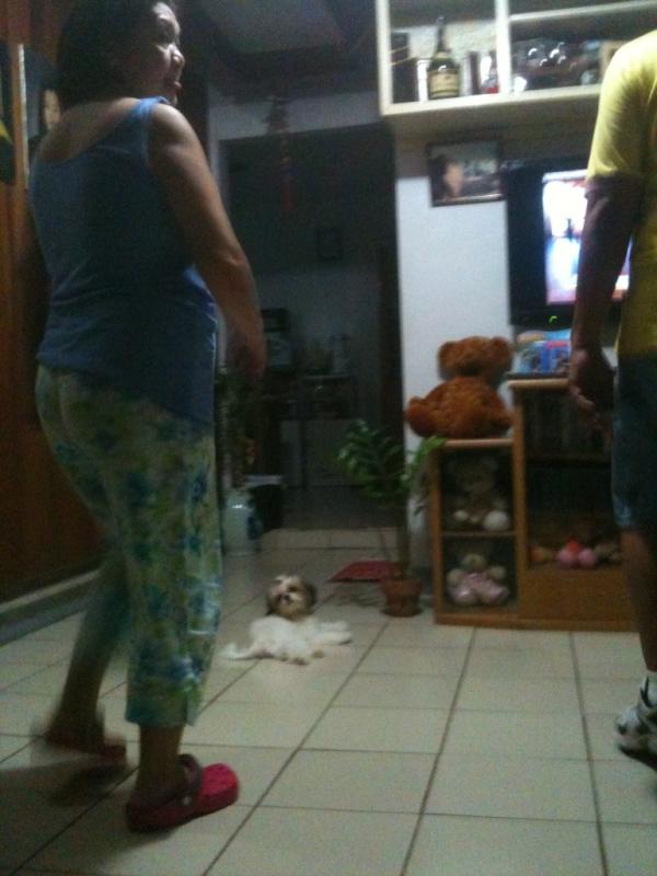 Keito's Diary tweet media