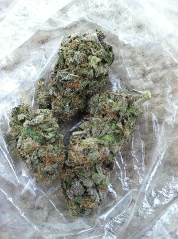 @gurlWeed waking&baking. #frosty #GrandaddyPurp #WeedPorn #prettytrees