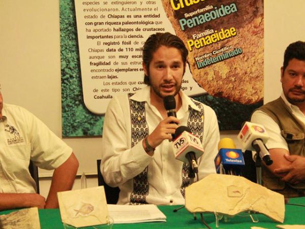 SEMAHN Chiapas tweet media
