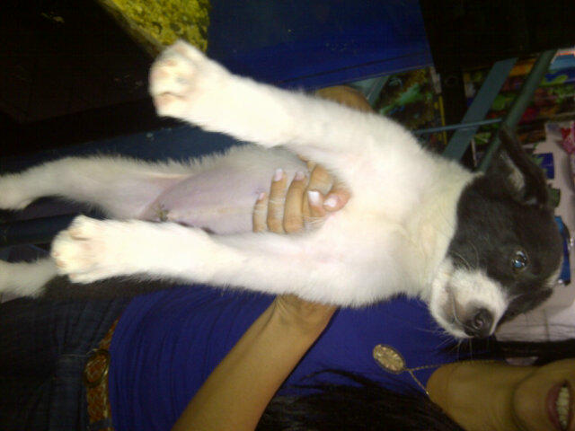 Mi buena obra del d&iacute;a... ☺ http://t.co/UzRNLnp<a href="/tag/elllenazo"class="tags"><span>#elllenazo</span></a>