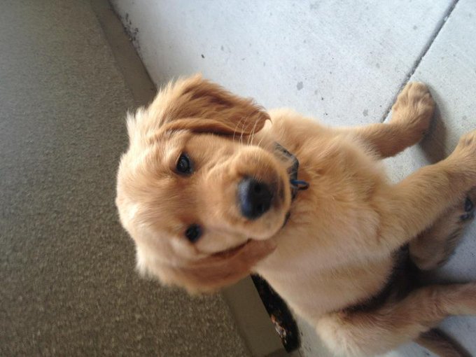 Baby Winston http://t.co/WRuiAN3k