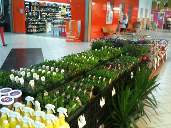 JoshuaAdams84's tweet photo. RT @shane_cap: @Garyggb Smithfield 2549 spring is nearly here!! http://t.co/jY9HJiut