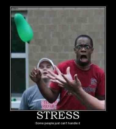 nfbushell's tweet image. Love it !! #lmao