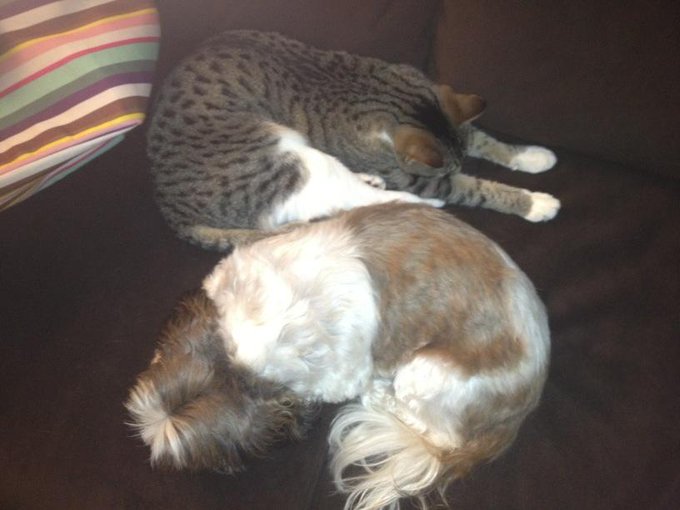 Love this one!! My babies http://t.co/BW12F83E
