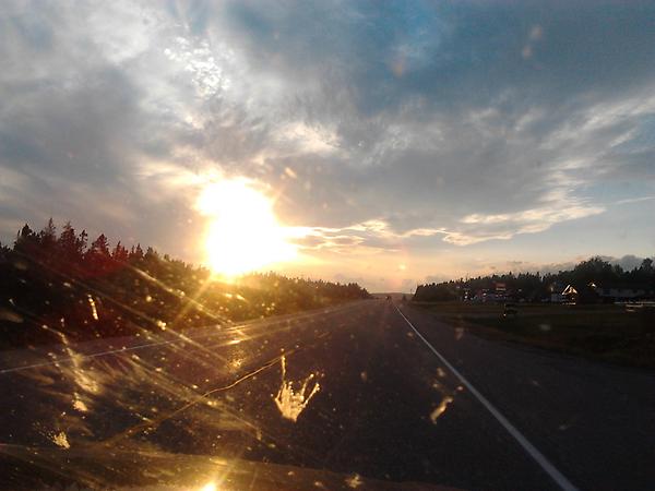 Sunset with bugs