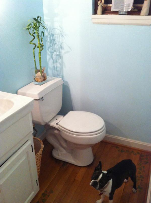 PittsburghPotty's tweet photo. Bethel Park http://t.co/QwVMrY0S