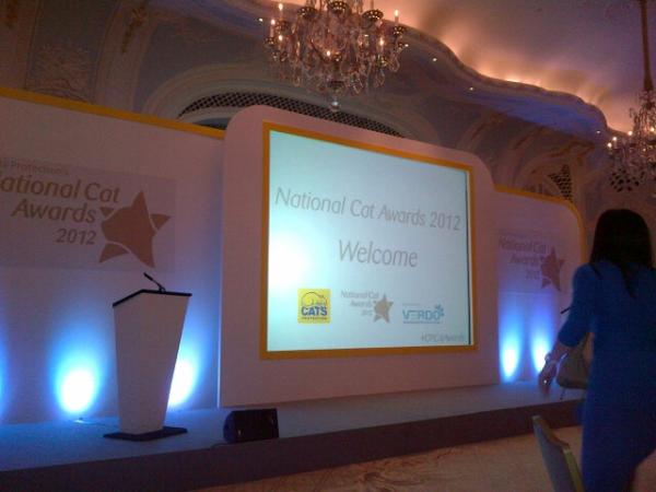 National Cat Awards tweet media