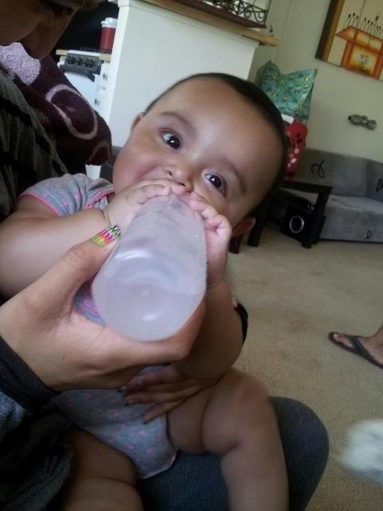 562frito's tweet image. The love of my life .. BELLA ROSE ❤