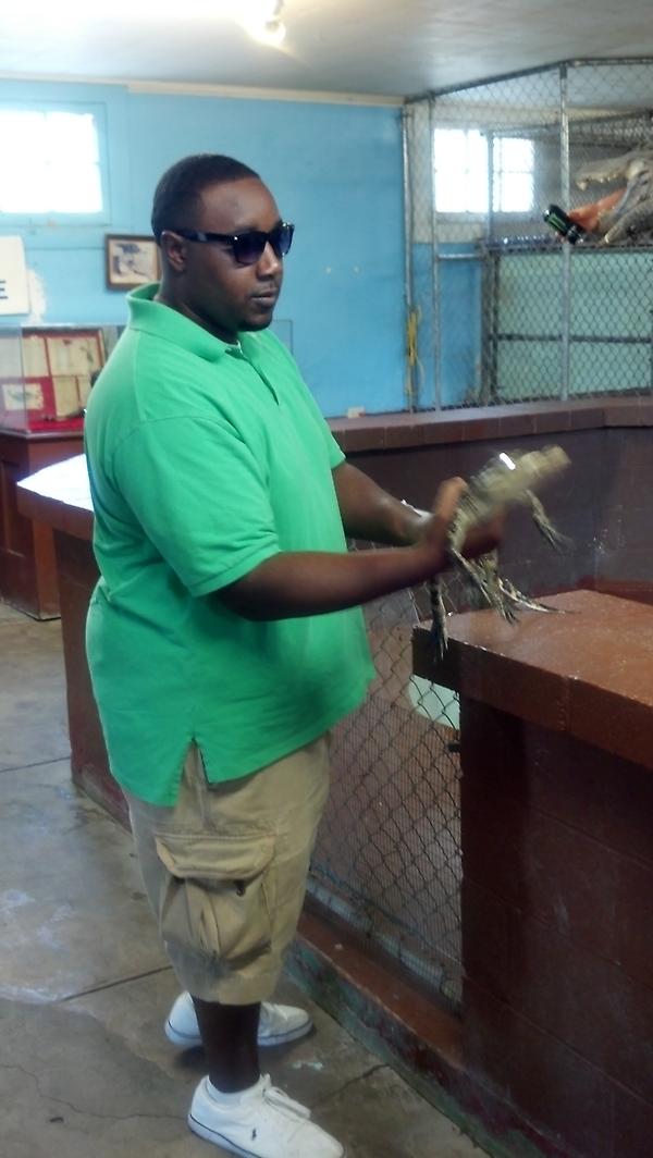 mcypd's tweet photo. Rev Chris handling tha gator! http://t.co/9XPyE329
