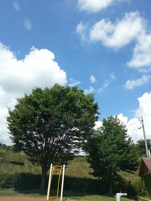 takwar's tweet photo. 今日は長野まで営業です。こんないい天気。サービスエリアのお客さんは遊びの人ばっかり。わたしも仕事じゃなくて遊びで来たいー http://t.co/dPtMOwS0