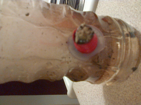 warrington420's tweet image. #stepFOUR - Popz all loaded. ♥