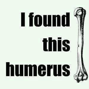 WellingtonCraig's tweet photo. #FridayFunny @labcoatman http://t.co/b3lewqCr
