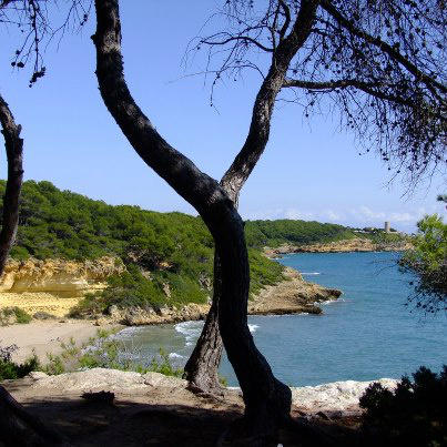 TorredelaMora's tweet photo. El Bosc de la Marquesa
El Bosque de la Marquesa http://t.co/E21RO8e8