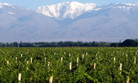 #Mendoza #winecounrty #awesomeness