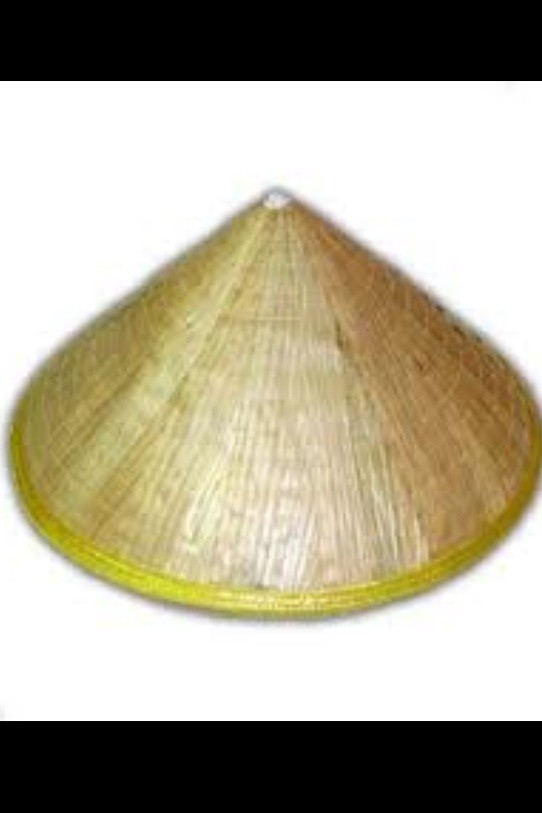 JuliaaaJacobs's tweet image. I just saw an Asian man with one of these hats walking down McGinnis ferry with his dog. @JCproblems #jcproblems