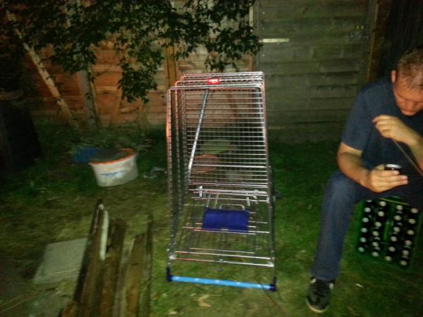 1989_Marc's tweet photo. #gezocht aapje ontsnapt omgeving #Paterswolde http://t.co/C0ZhlKsK