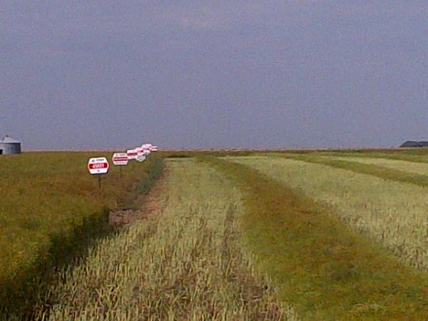 AnnexAgro's tweet image. Getting ready to swath @PioneerHiBred Sclero tol Prod Advan Trial.  #weightforit #protector