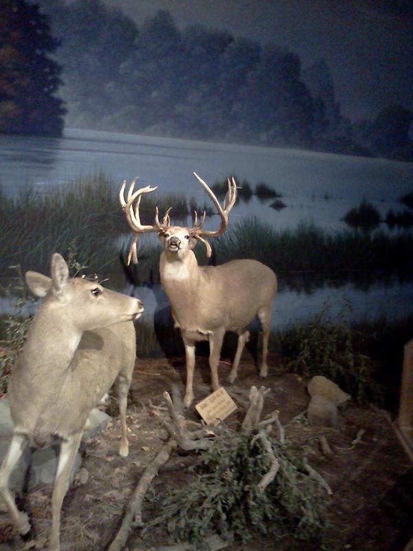Rpayne302's tweet photo. http://t.co/2uUtm177