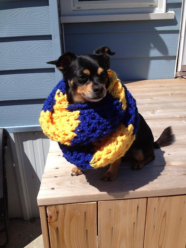 jennareintjens's tweet image. The perfect Laurentian mascot #littlevoyageur #cometoschoolwithme