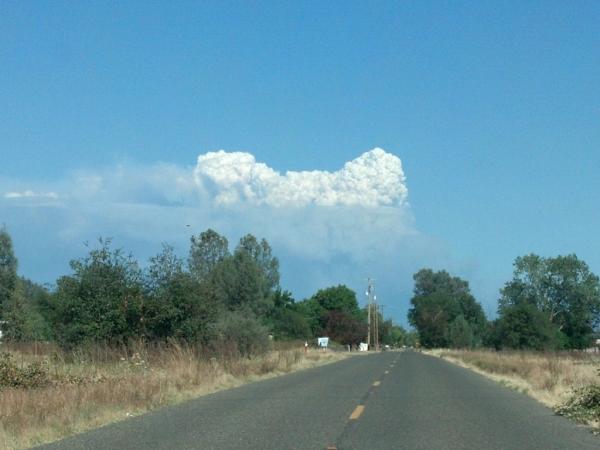 baditup420's tweet image. The Reading Fire as seen from Happy Valley, CA. #calfire #readingfire @XDEVASTATEDX
