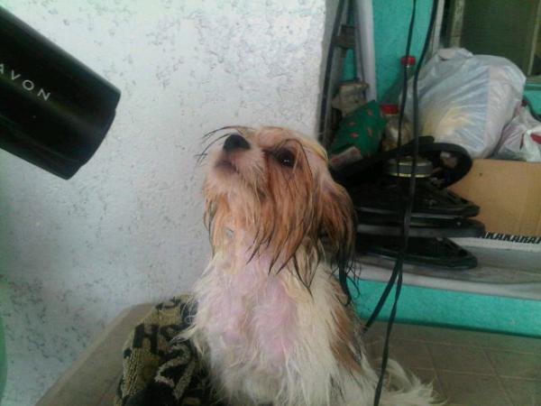 Keito's Diary tweet media