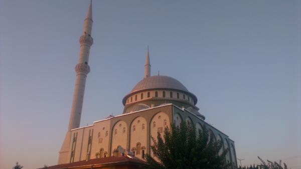 MatsFS's tweet image. Fin vekkerklokke. #moské