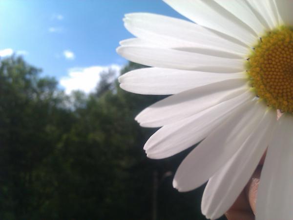 ExploreOslo's tweet image. Great weather today!