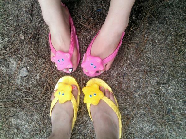 onesview's tweet image. 속초에 별과불가사리♥