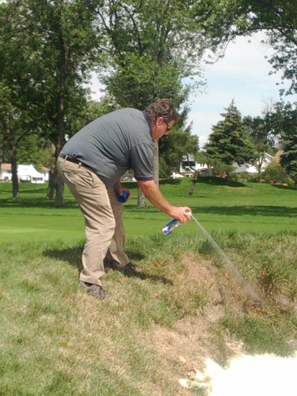 Superintendent Pat Hebert taking care of a wasp nest on 12. He is the jack of all trades.