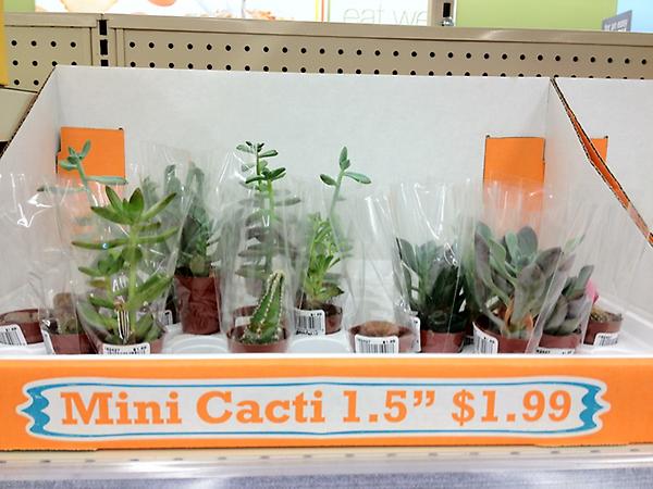 erniemiller's tweet image. For smaller monitoring needs, I guess. #opshumor